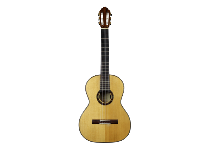 Metzner Guitar 2010 1