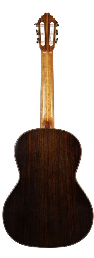 Metzner Guitar 2010 4