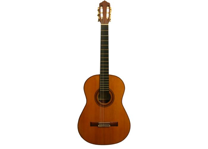 Daniel Friederich guitar 1 002
