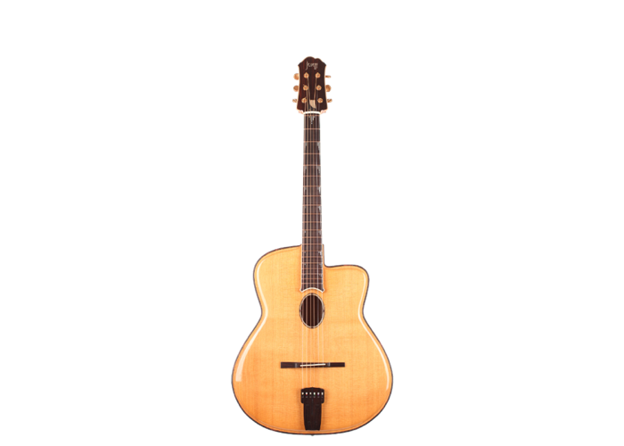 jesselli guitar 1