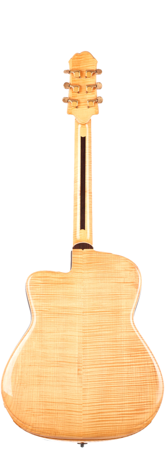 jesselli guitar 2