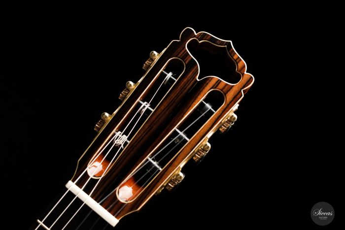 Classical guitar Armin Hanika HE Lattice 2021 16