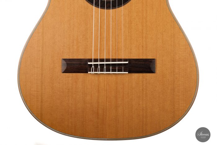 Classical guitar Armin Hanika 2021 6