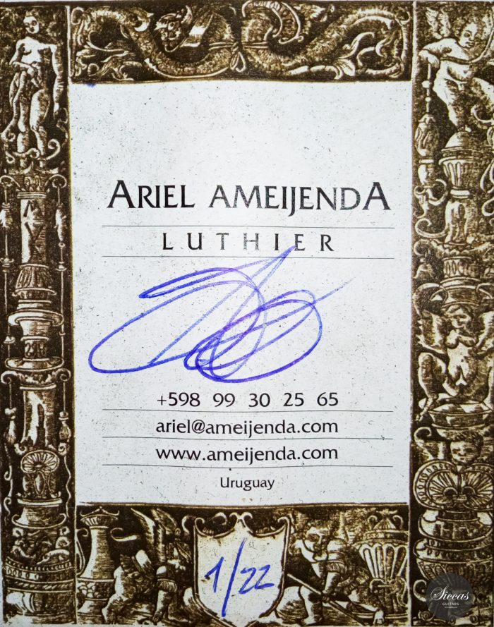 Ariel Ameijenda Zeder 2022 64cm 30