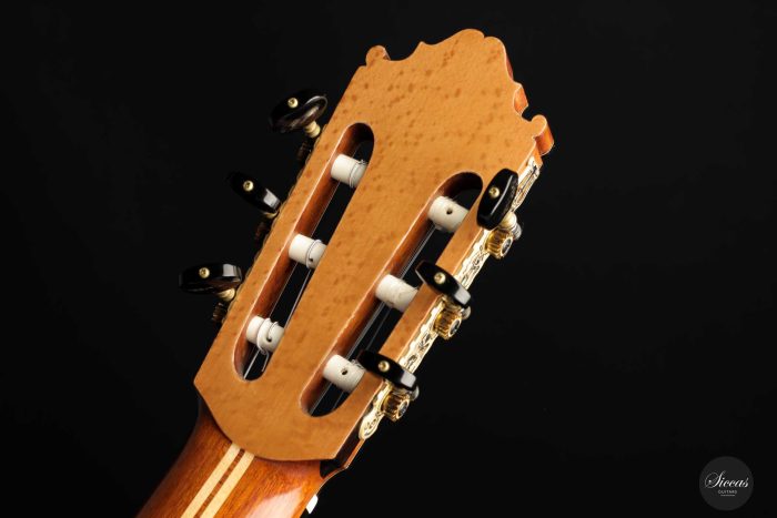 Petar Antic 2010 No. 05 Left hand 8