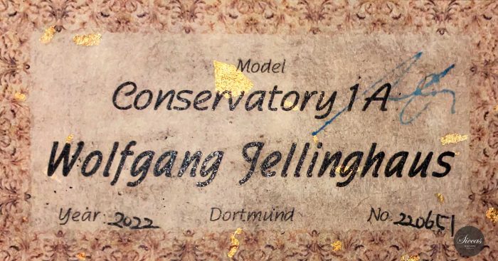 Wolfgang Jellinghaus Conservatory not elevated fingerboard 30