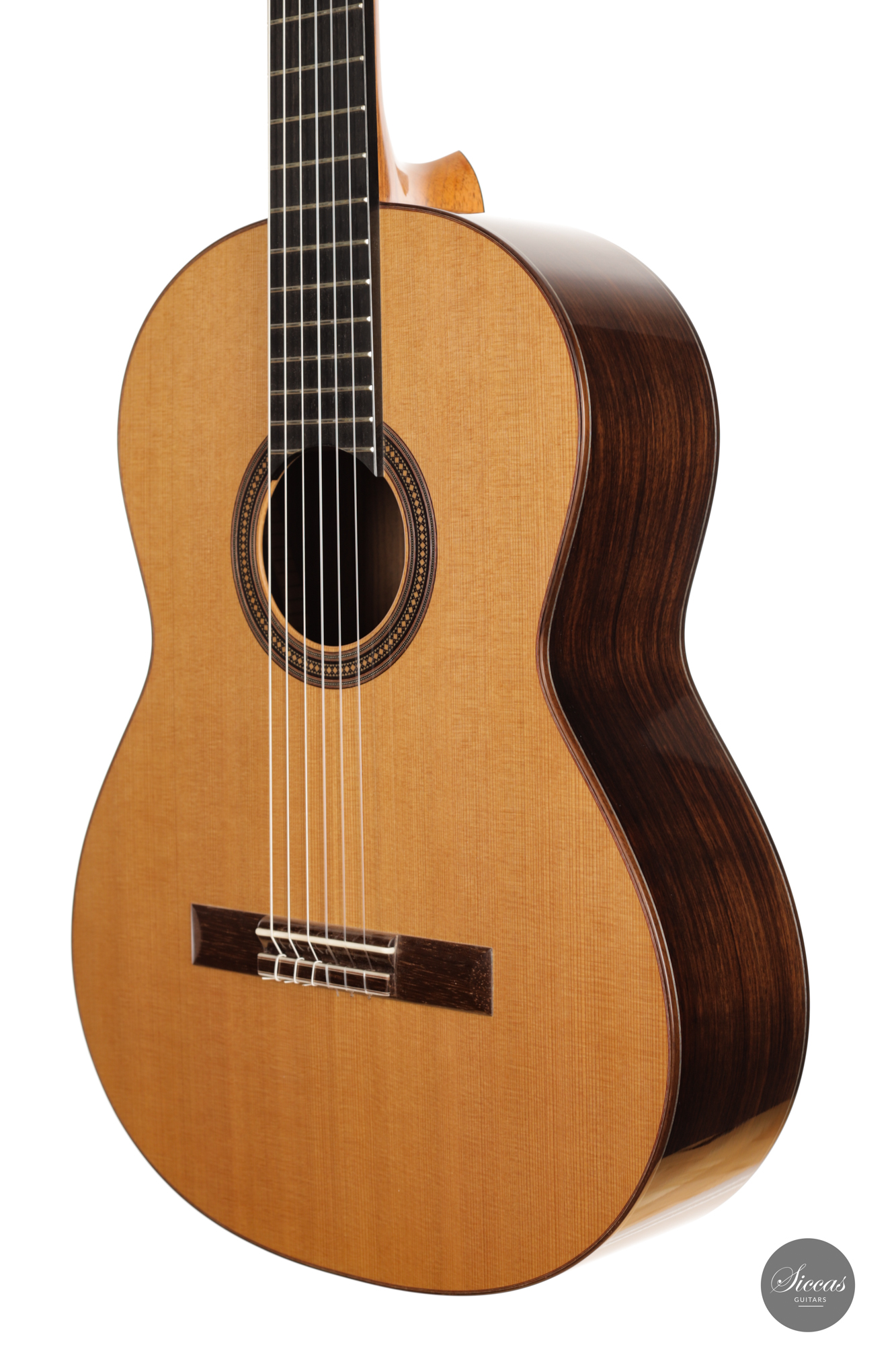 洋書写真集 Acoustic Guitars and Other Fretted | 直送品大