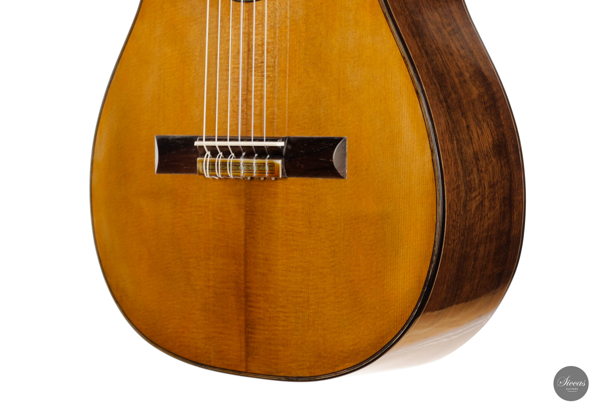 Fabio Zontini - 2024 REG 2024 Limited Edition 62cm at SICCAS