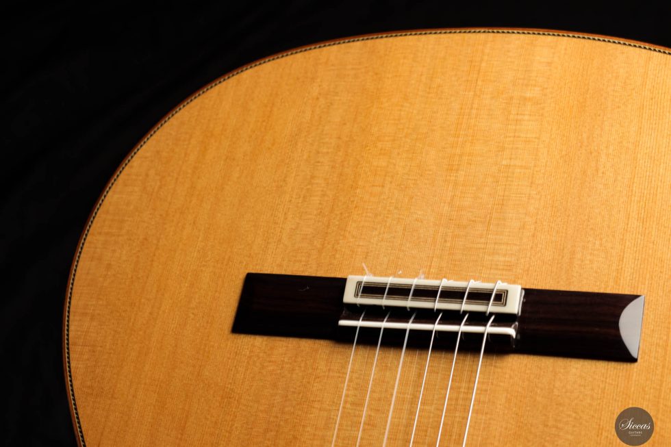 Esteve - Model 12 Cedar at SICCAS GUITARS - The world's finest guitars ...