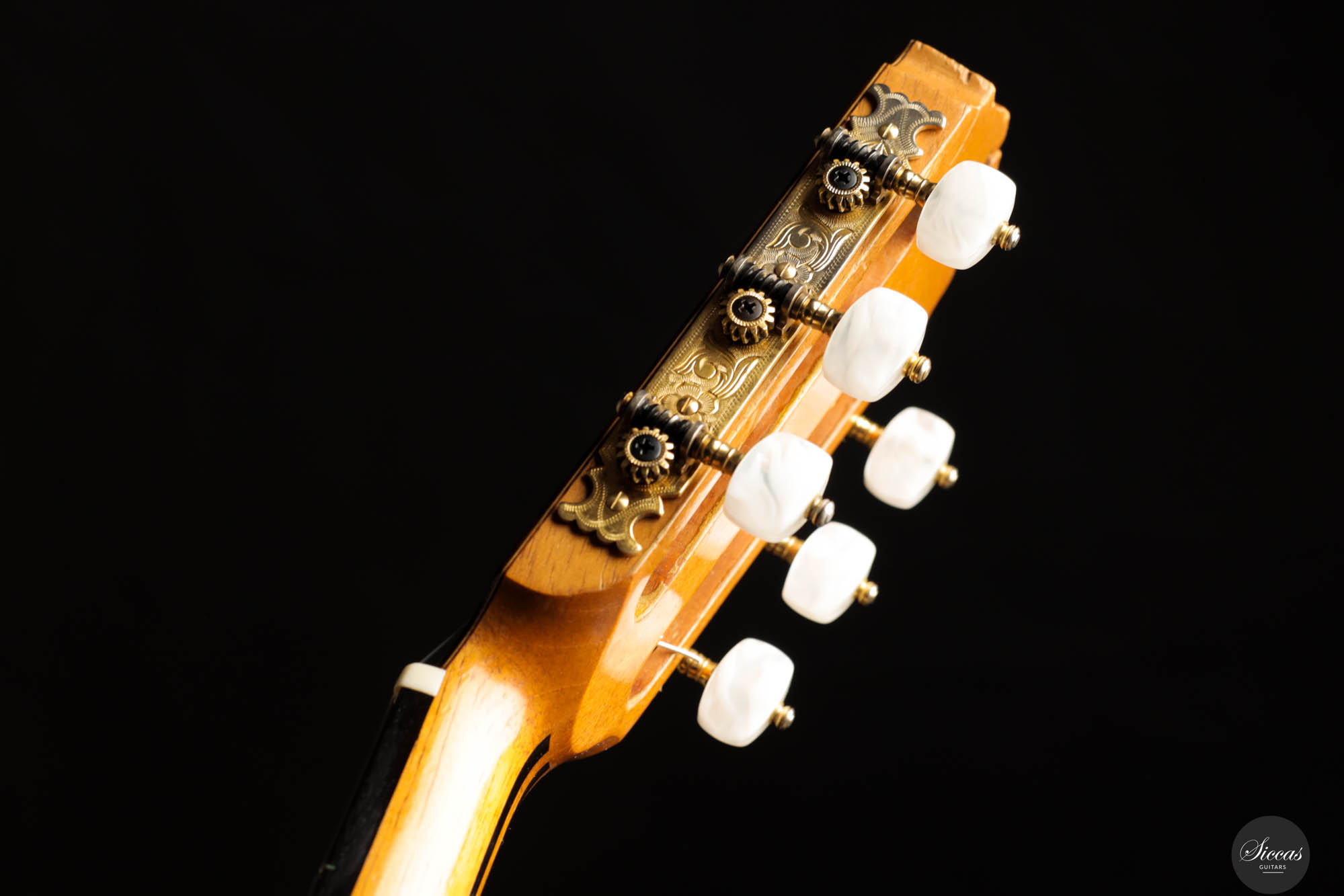 【新品】写真集「Guitar Eros Mondino」 guitar eros | 古書かいた