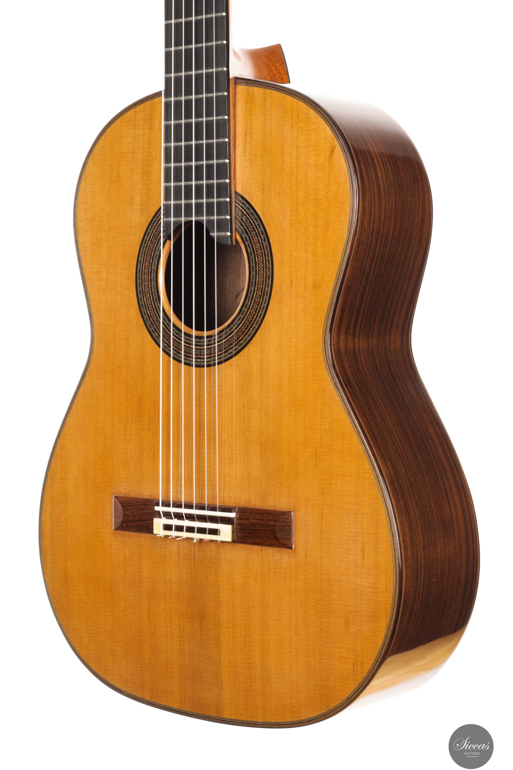 PELLICO/ペリー ANDREA 10 CAMOSCIO 10745 Andrea Tacchi - 2000 Coclea No. 235 at SICCAS GUITARS - The