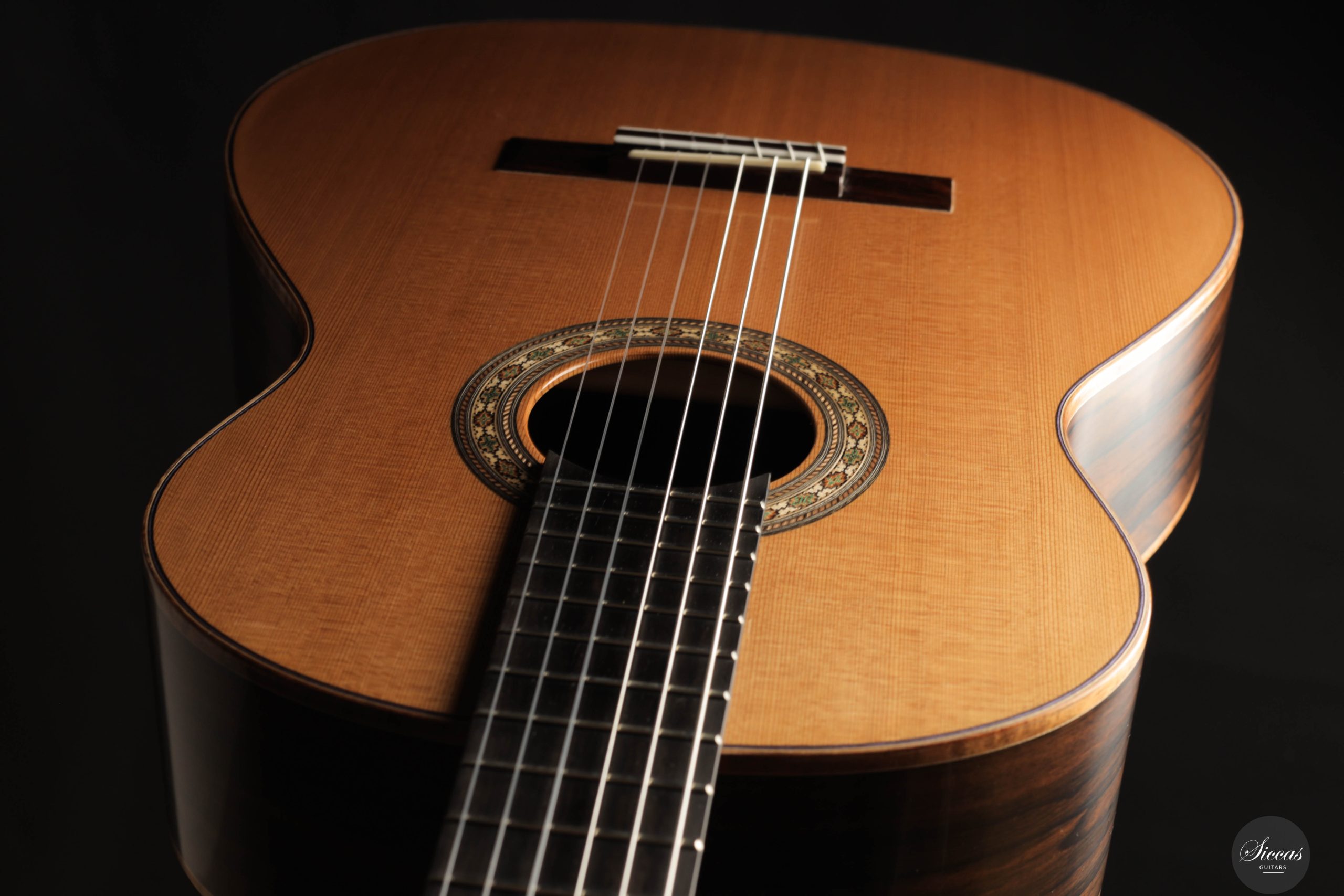ギター Virtues ASSH monica VIRTUES monica AssH Signature