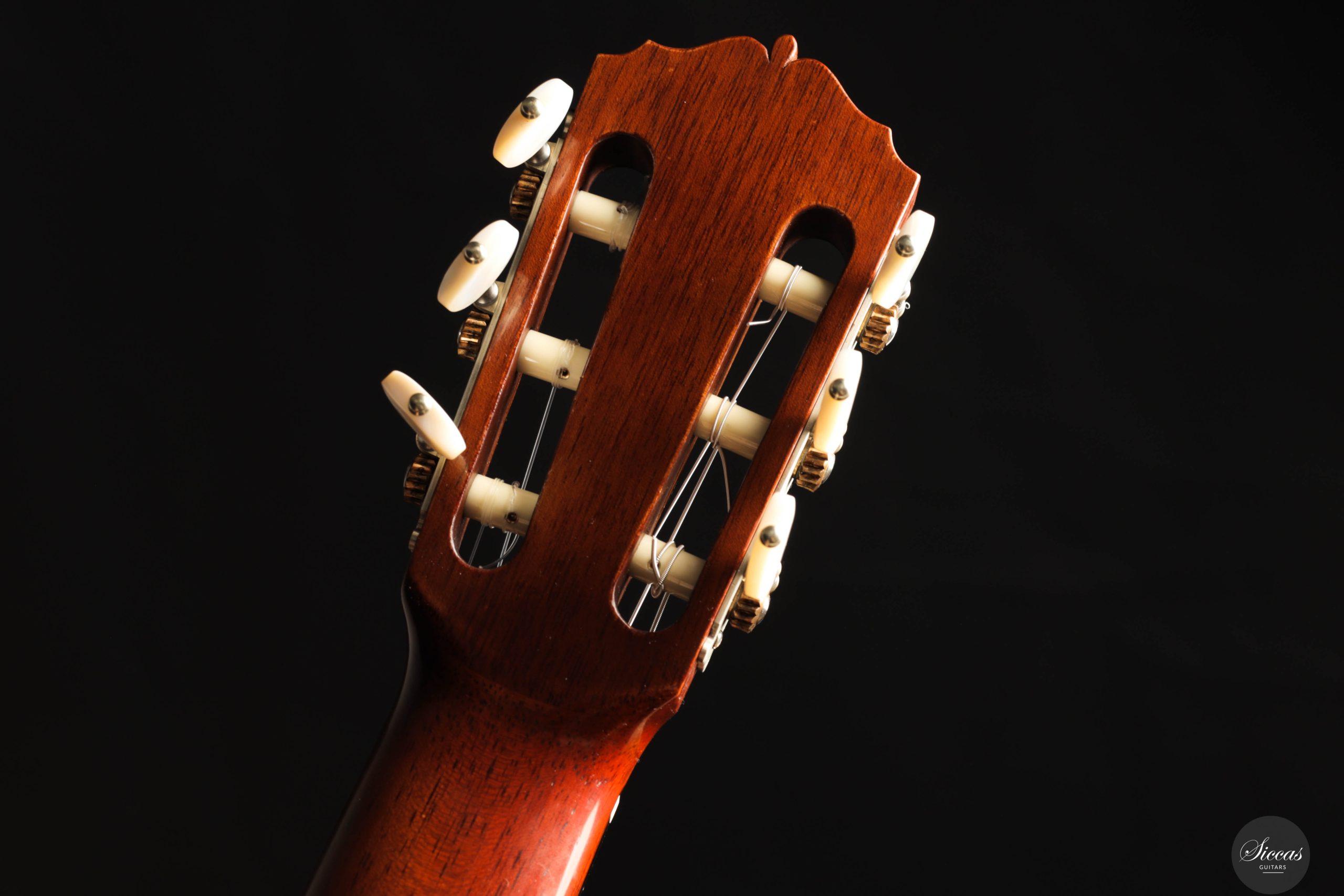 Mutant Dreams & Face Transplants: An Acoustic Experience