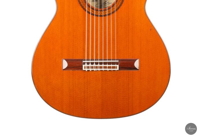 José Ramirez - 1976 1a No. 10098 - 8-string at SICCAS