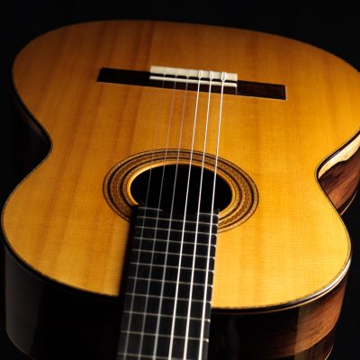 Siccas Guitars | The world's finest guitars in one place