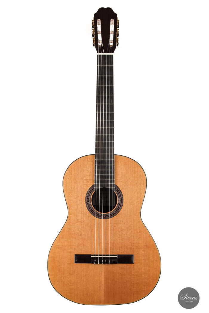 Classical guitar Eriberto Ajevoli 2020 1