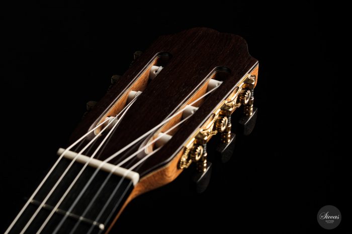 Classical guitar Eriberto Ajevoli 2020 15