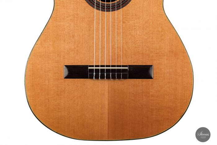 Classical guitar Eriberto Ajevoli 2020 7