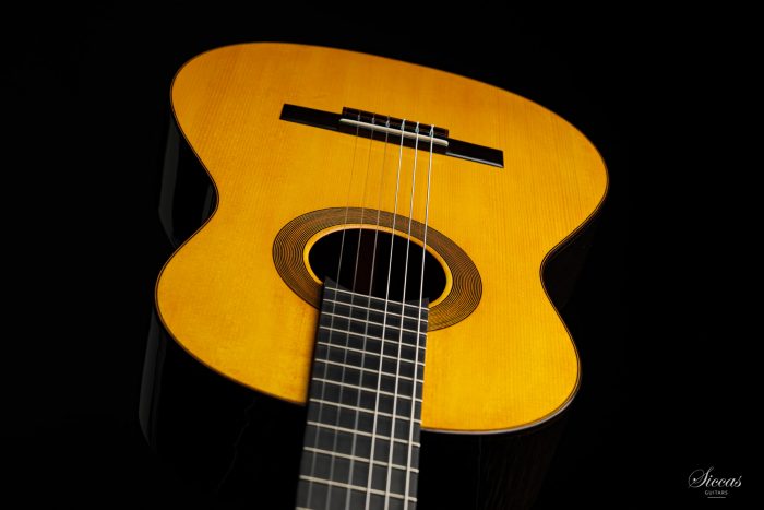 Classical guitar Francesco De Gregorio 2020 18