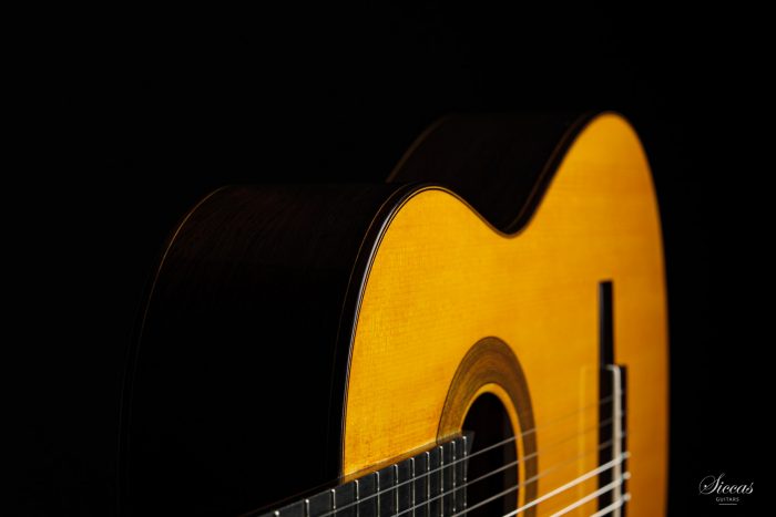 Classical guitar Francesco De Gregorio 2020 21