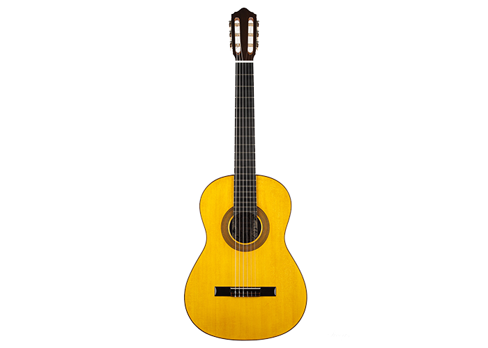 Classical guitar Francesco De Gregorio 2020 25