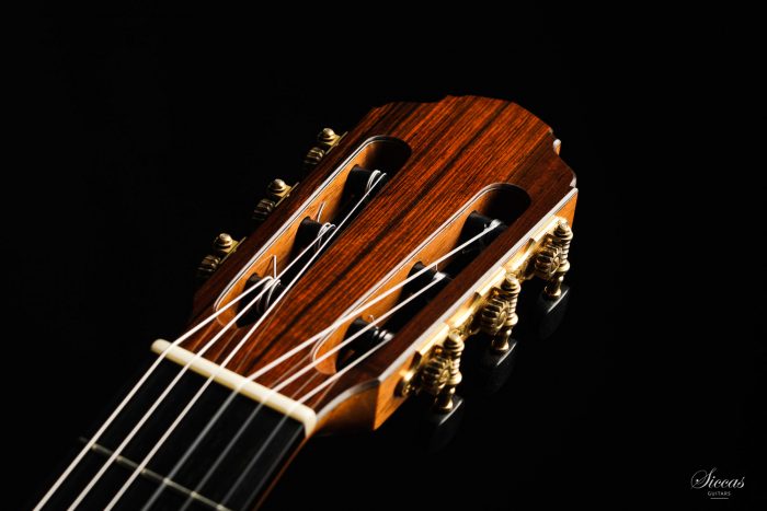 Classical guitar Francois Regis Leonard 2020 15