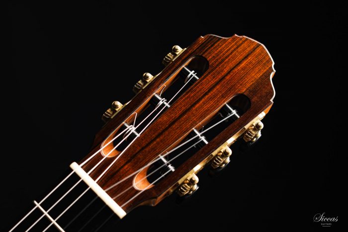 Classical guitar Francois Regis Leonard 2020 16