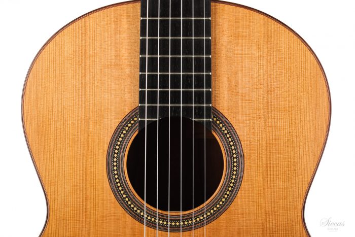 Classical guitar Francois Regis Leonard 2020 3