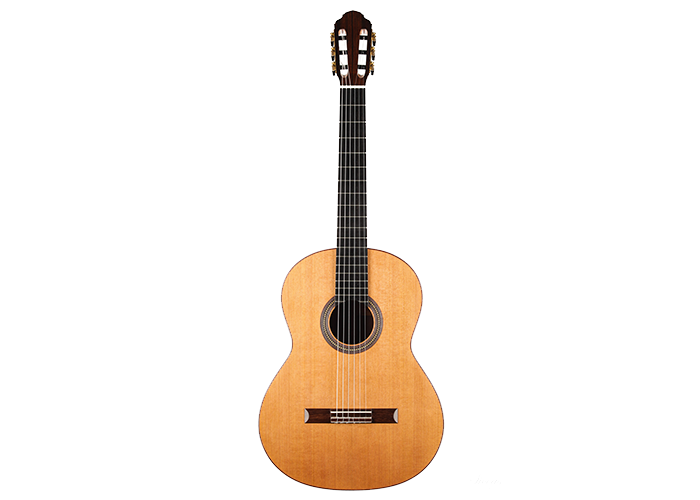 Classical guitar Francois Regis Leonard 2020 30