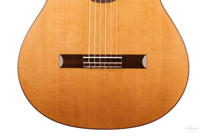 Classical guitar Francois Regis Leonard 2020 7