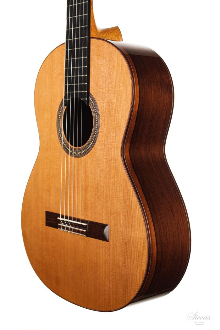 Classical guitar Francois Regis Leonard 2020 8