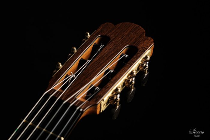 Classical guitar Paulino Bernabé Torres 2020 15
