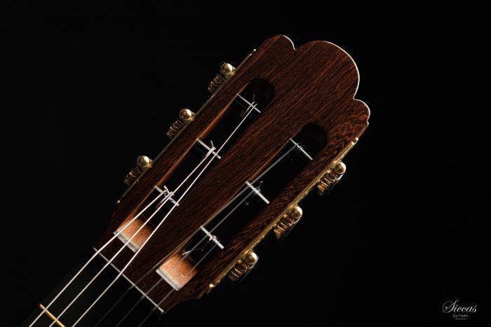 Classical guitar Paulino Bernabé Torres 2020 16