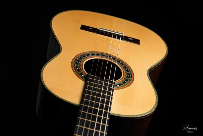 Classical guitar Paulino Bernabé Torres 2020 18