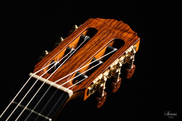 Classical guitar Tobias Braun 2020 15