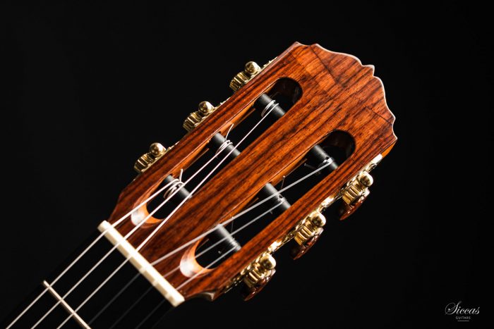 Classical guitar Tobias Braun 2020 16