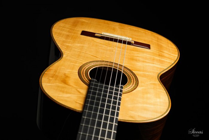 Classical guitar Tobias Braun 2020 18