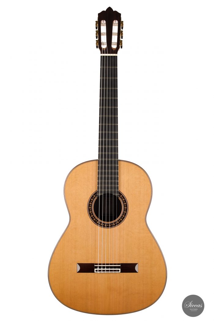 Classical guitar Francisco Munoz 2020 1