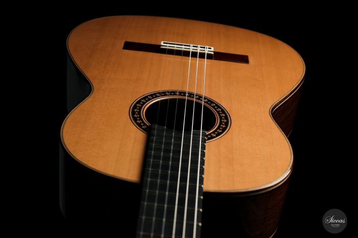 Classical guitar Francisco Munoz 2020 16