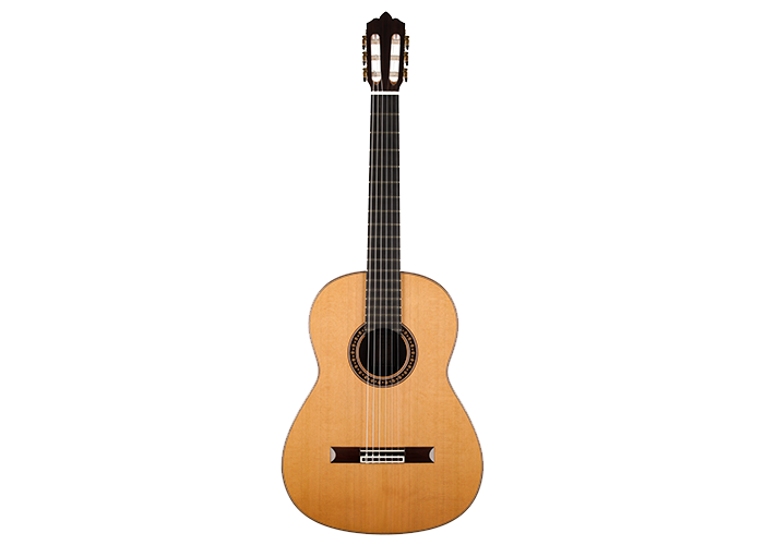 Classical guitar Francisco Munoz 2020 23