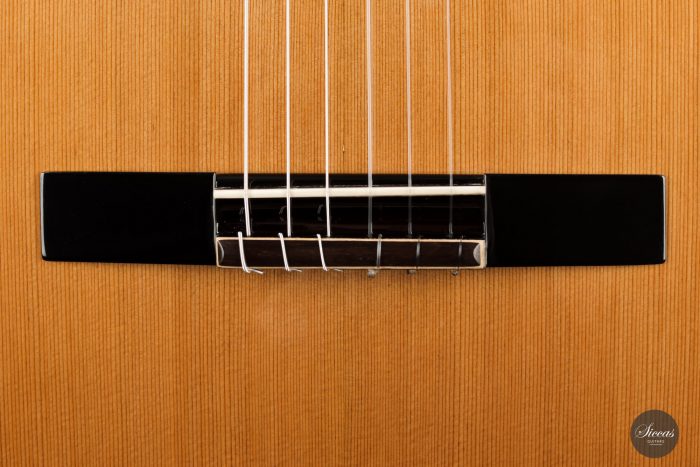 Classical guitar Jan Schneider 2021 5