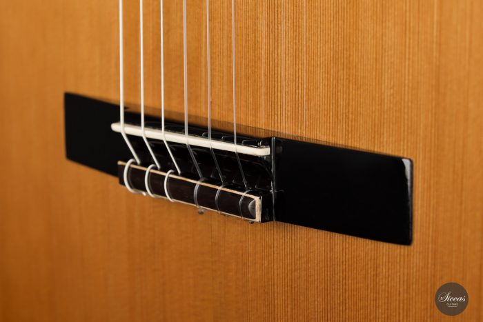 Classical guitar Jan Schneider 2021 8
