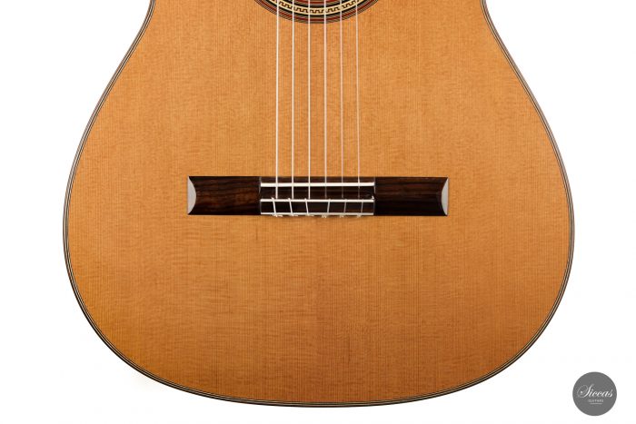 Classical guitar Pepe Romero6