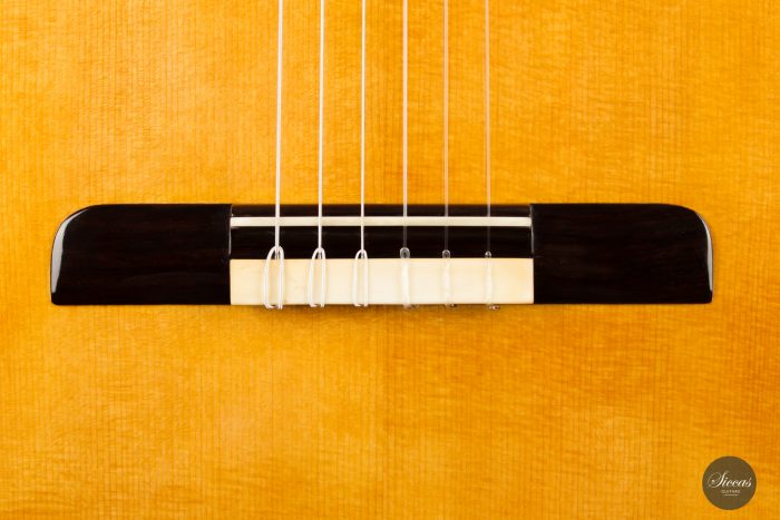 Classical guitar Lorenzo Frignani 2021 5