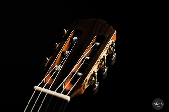 Classical guitar Wolfgang Jellingahus Segovia 2021 14